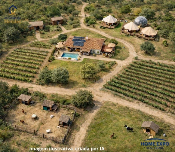 Terreno Agricola ou Rústico para Venda em Agualva e Mira-Sintra Foto 9
