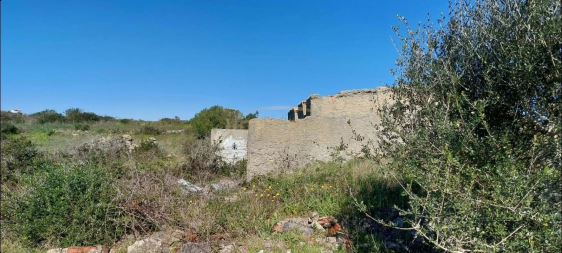 Terreno Agricola ou Rústico para Venda em Agualva e Mira-Sintra Foto 10