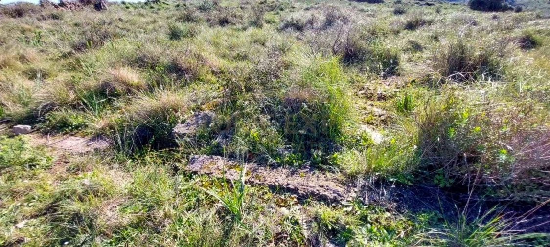 Terreno Agricola ou Rústico para Venda em Agualva e Mira-Sintra Foto 6
