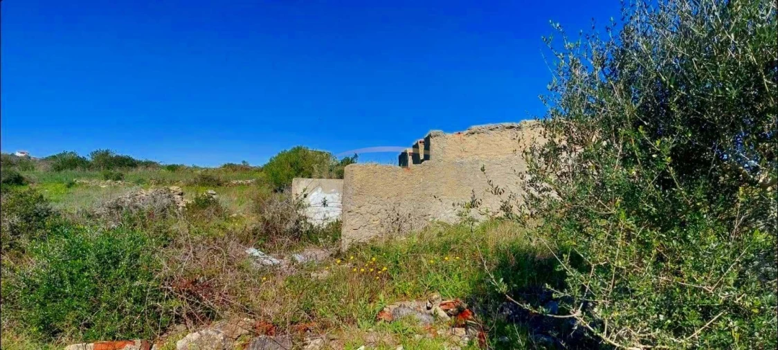 Terreno Agricola ou Rústico para Venda em Agualva e Mira-Sintra Foto 5