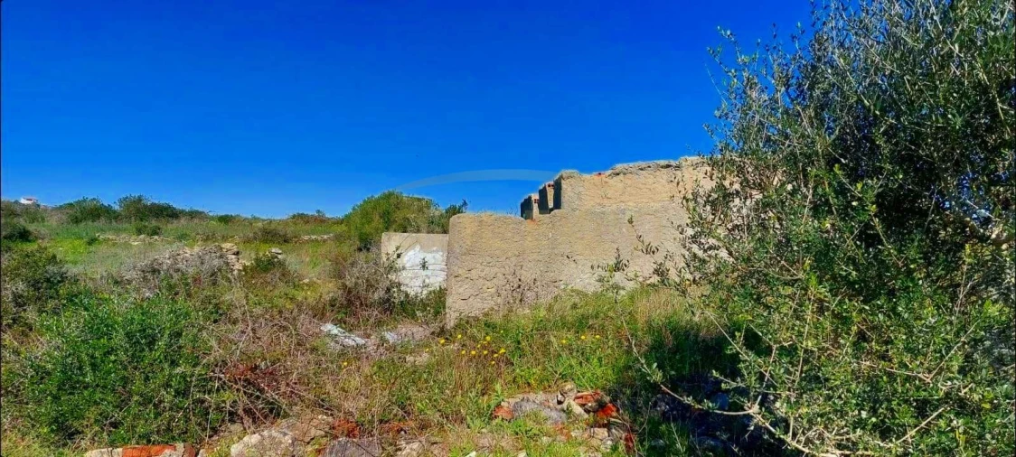 Terreno Agricola ou Rústico para Venda em Agualva e Mira-Sintra Foto 5