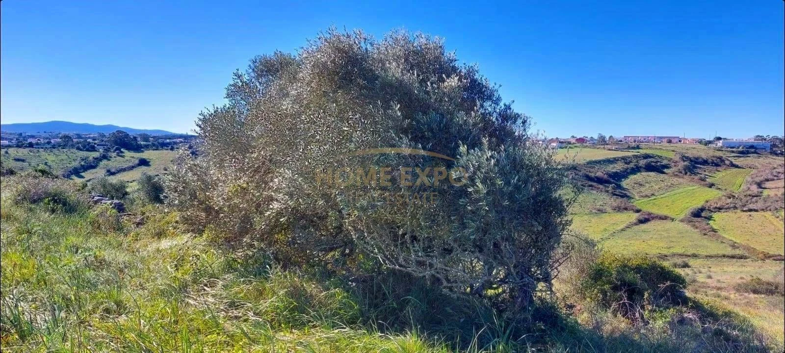 Terreno Agricola ou Rústico para Venda em Agualva e Mira-Sintra Foto 8