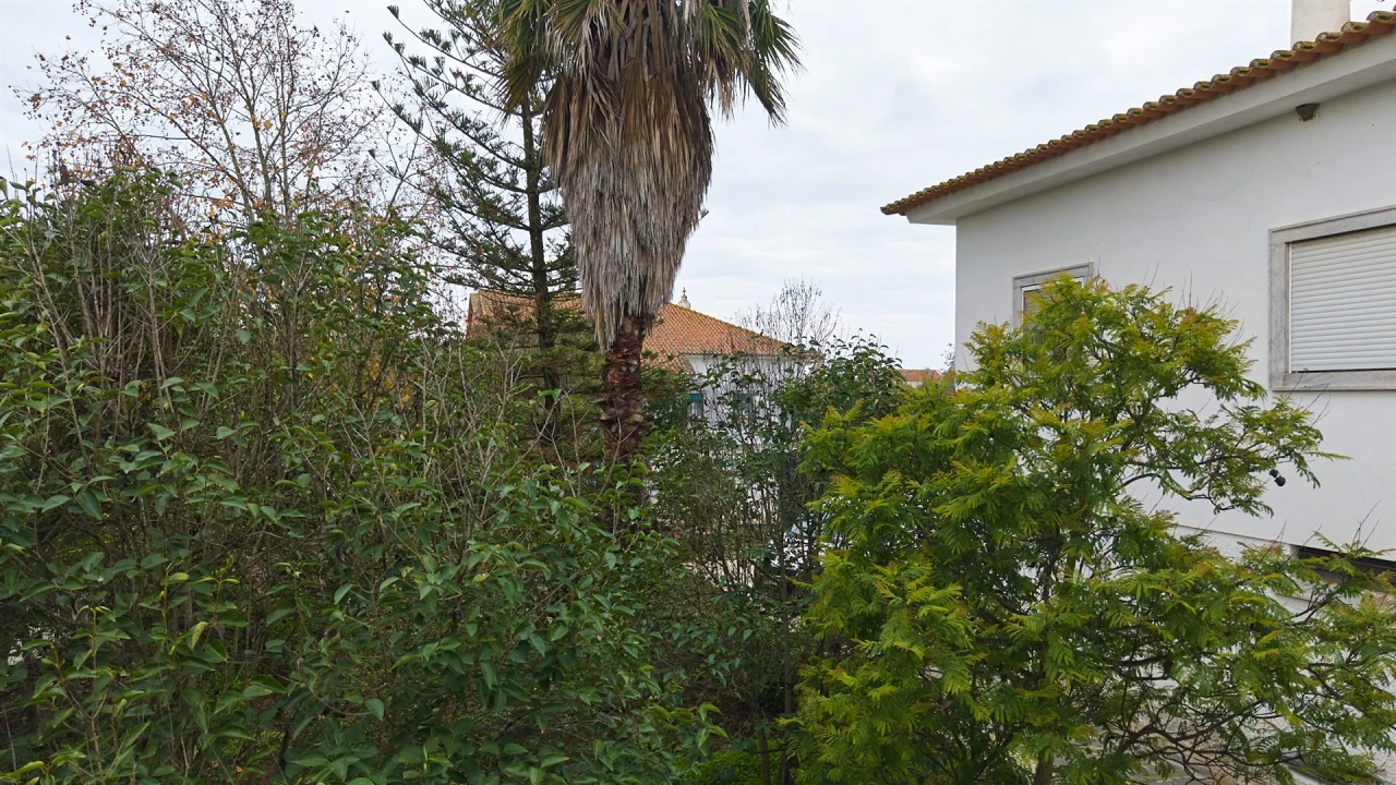 Moradia T9 para Venda em Castro Verde e Casével Foto 16