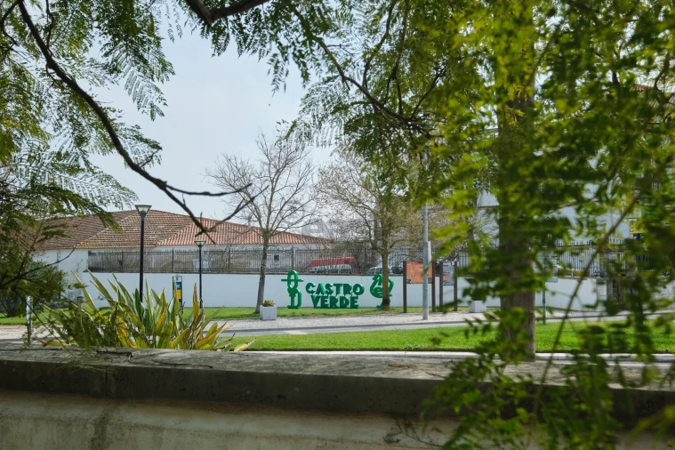 Moradia T9 para Venda em Castro Verde e Casével Foto 20
