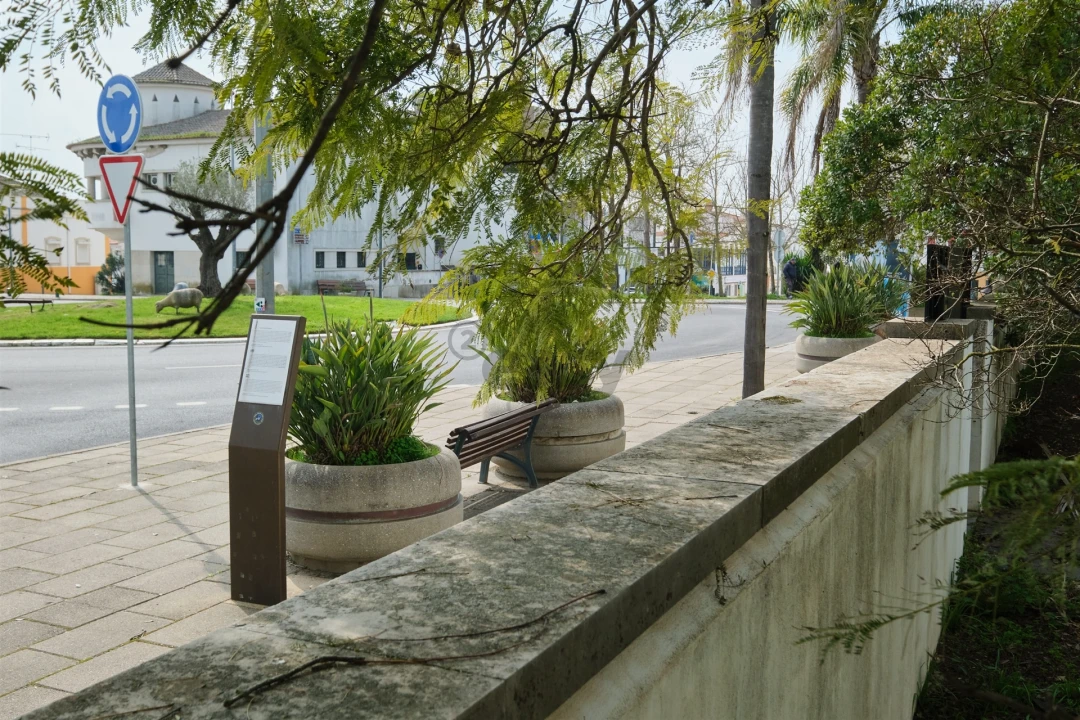 Moradia T9 para Venda em Castro Verde e Casével Foto 21