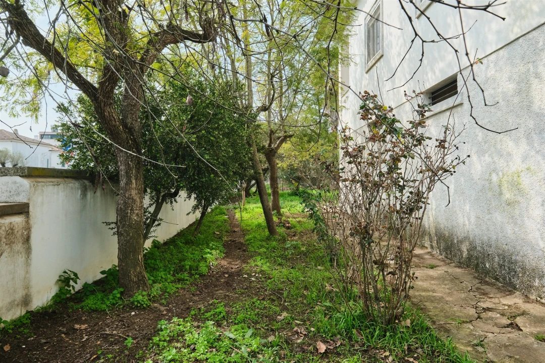 Moradia T9 para Venda em Castro Verde e Casével Foto 63