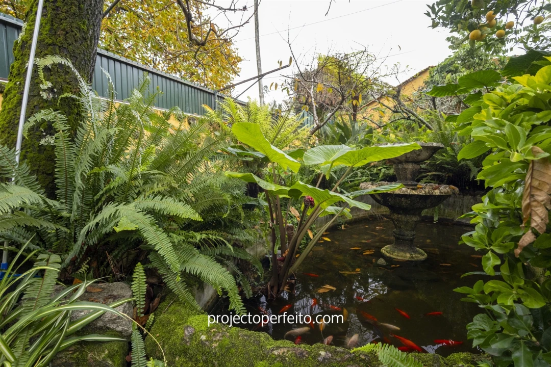 Moradia T3 para Venda em Nogueira da Regedoura Foto 30