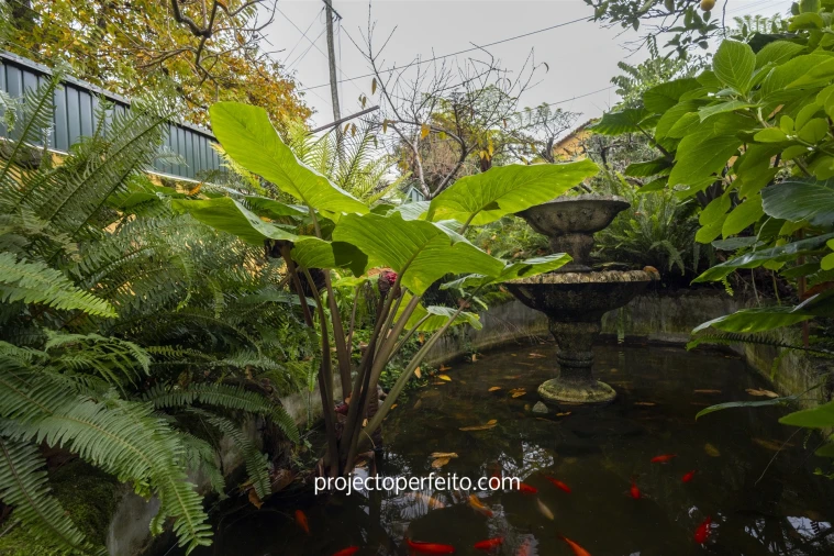 Moradia T3 para Venda em Nogueira da Regedoura Foto 29