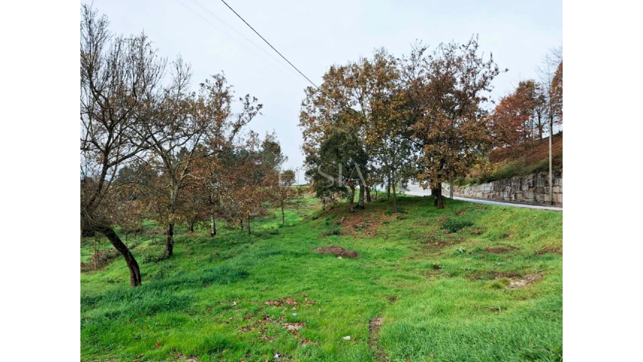 Terreno para Venda em Amarante (São Gonçalo), Madalena, Cepelos e Gatão Foto 12