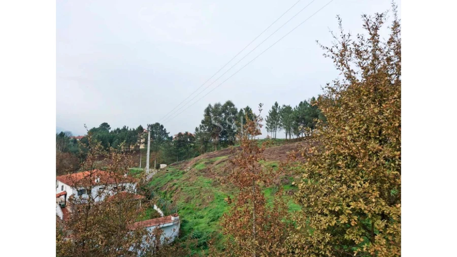 Terreno para Venda em Amarante (São Gonçalo), Madalena, Cepelos e Gatão Foto 11