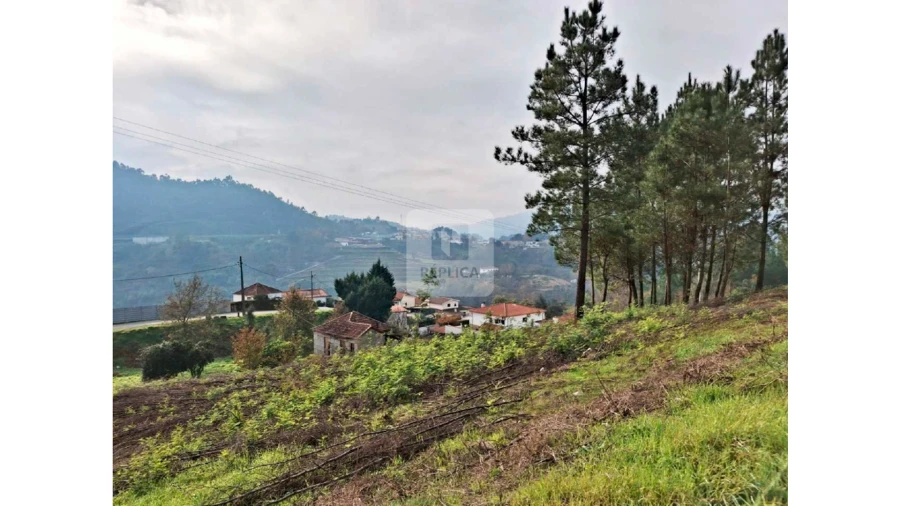 Terreno para Venda em Amarante (São Gonçalo), Madalena, Cepelos e Gatão Foto 7