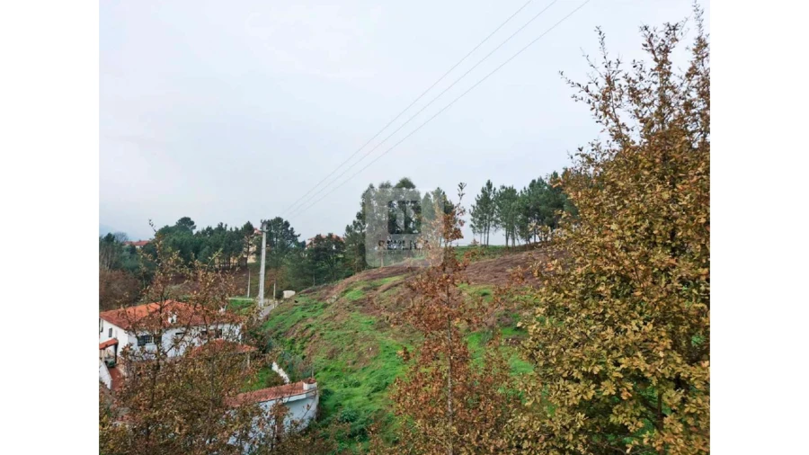 Terreno para Venda em Amarante (São Gonçalo), Madalena, Cepelos e Gatão Foto 11