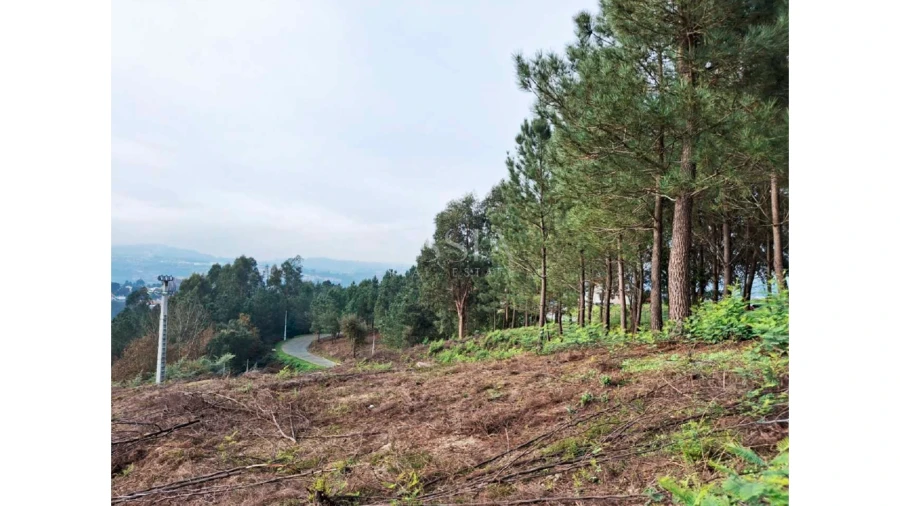 Terreno para Venda em Amarante (São Gonçalo), Madalena, Cepelos e Gatão Foto 9