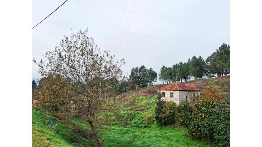 Terreno para Venda em Amarante (São Gonçalo), Madalena, Cepelos e Gatão Foto 8