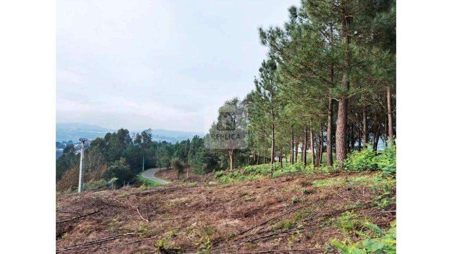 Terreno para Venda em Amarante (São Gonçalo), Madalena, Cepelos e Gatão Foto 10
