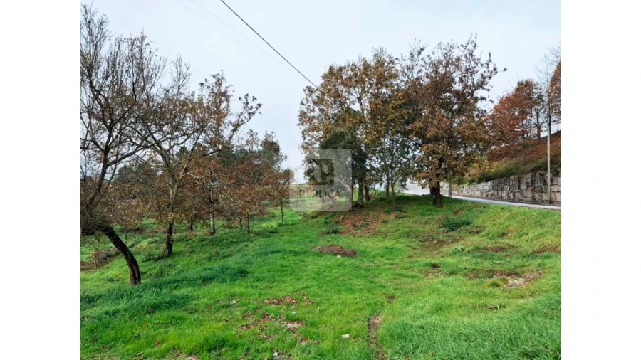 Terreno para Venda em Amarante (São Gonçalo), Madalena, Cepelos e Gatão Foto 12