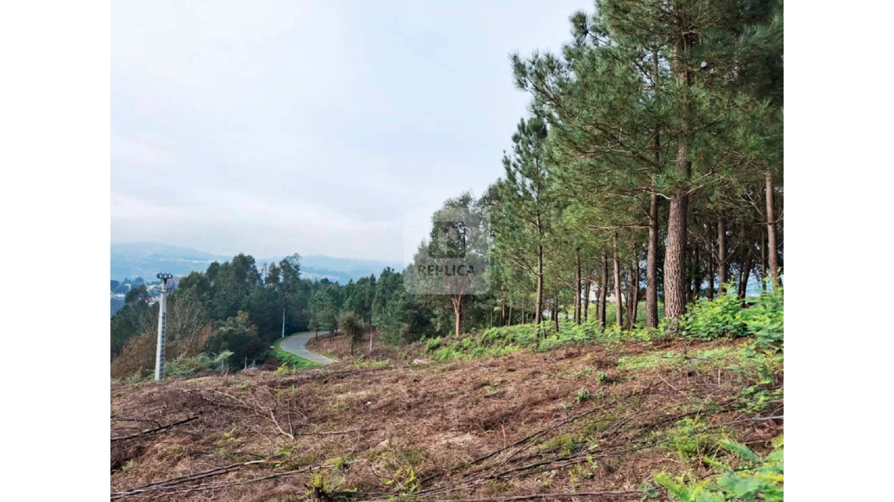 Terreno para Venda em Amarante (São Gonçalo), Madalena, Cepelos e Gatão Foto 10