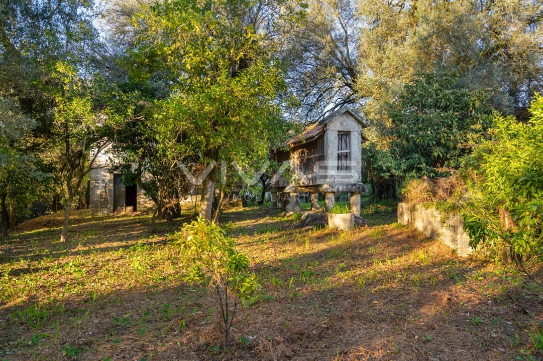 Quinta T0 para Venda em Bouro (Santa Marta) Foto 19