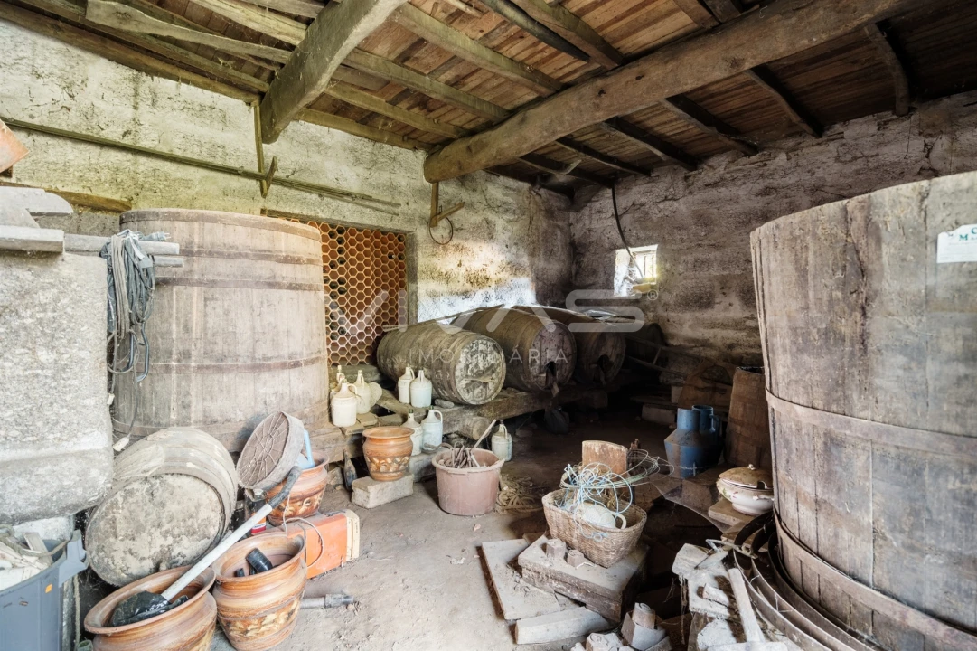 Quinta T0 para Venda em Bouro (Santa Marta) Foto 16