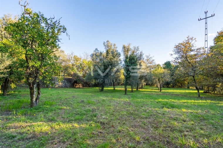 Quinta T0 para Venda em Bouro (Santa Marta) Foto 20