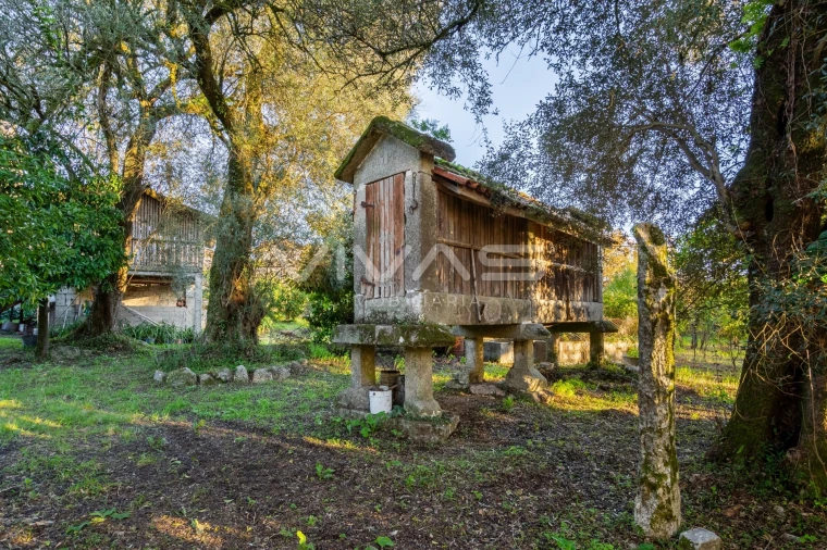 Quinta T0 para Venda em Bouro (Santa Marta) Foto 18