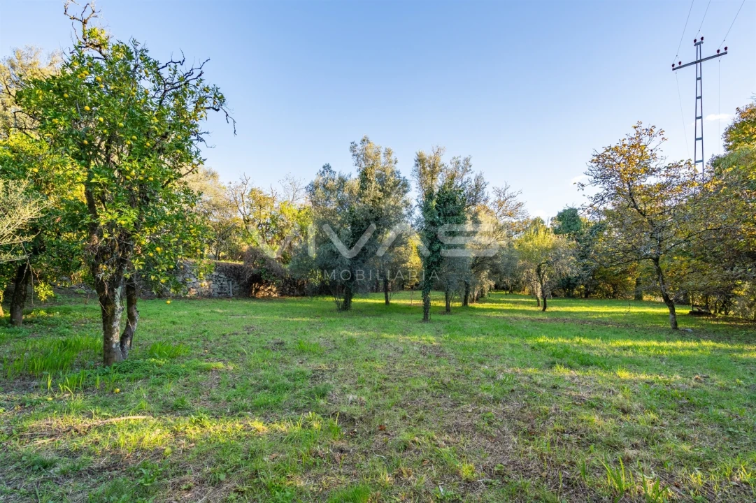 Quinta T0 para Venda em Bouro (Santa Marta) Foto 20