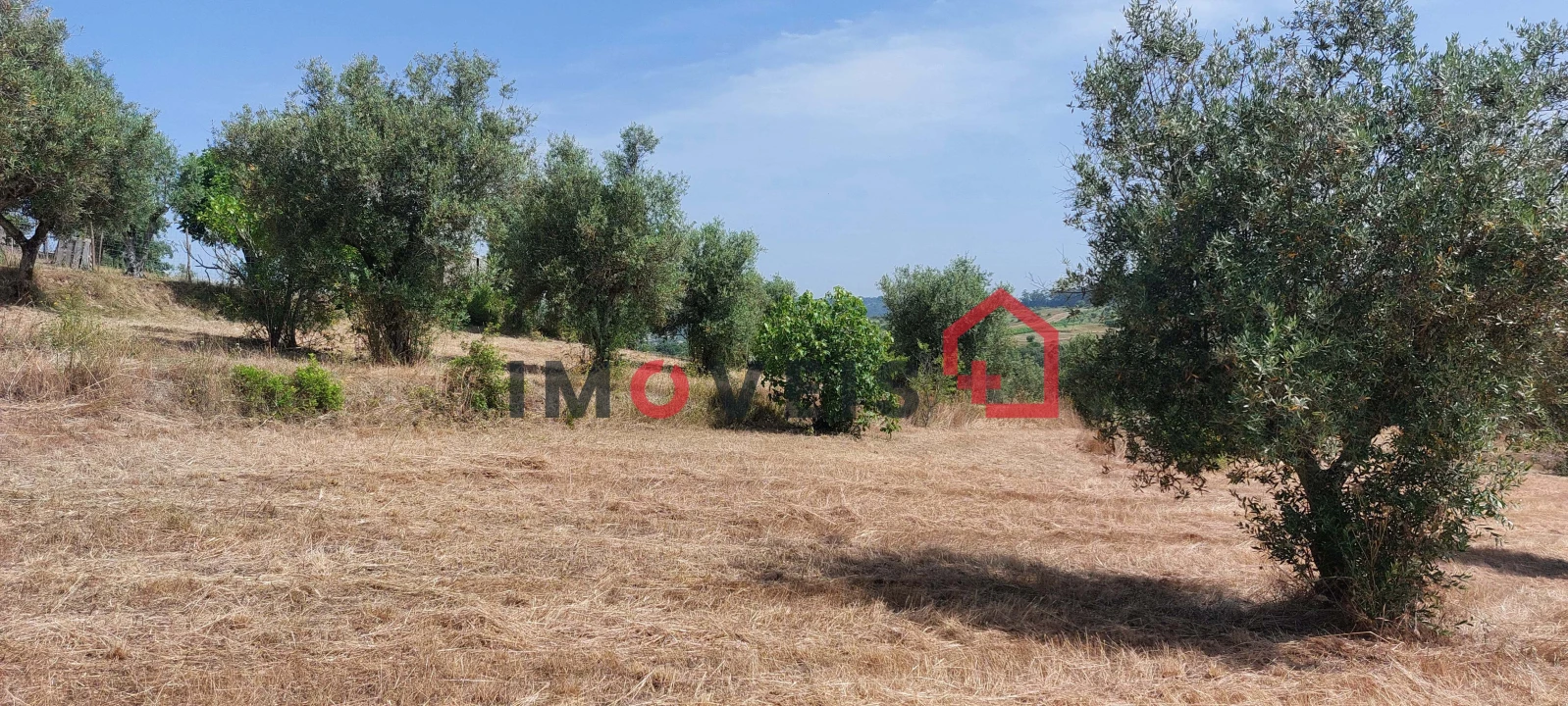 Terreno para Venda em Atouguia Foto 8