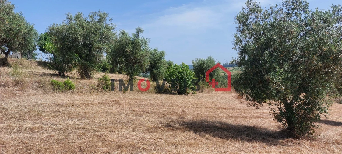 Terreno para Venda em Atouguia Foto 8