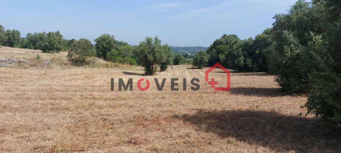 Terreno para Venda em Atouguia Foto 4