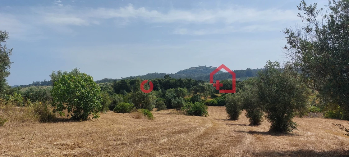 Terreno para Venda em Atouguia Foto 1