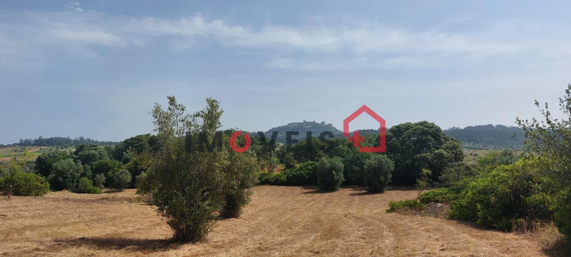 Terreno para Venda em Atouguia Foto 7