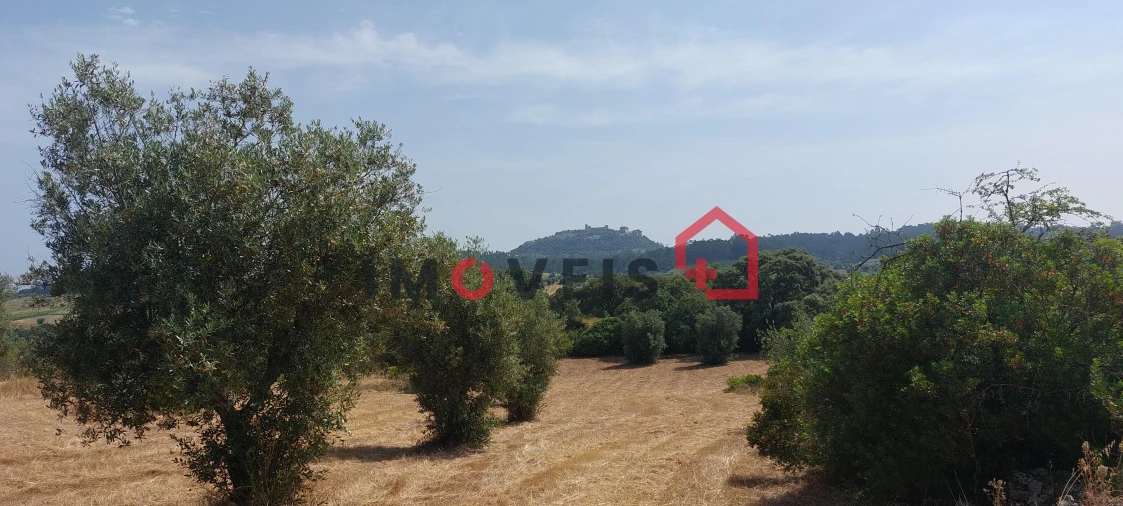 Terreno para Venda em Atouguia Foto 3