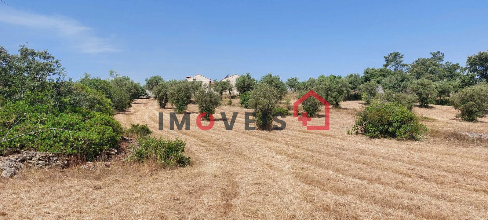 Terreno para Venda em Atouguia Foto 6