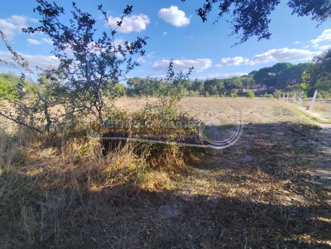 Terreno para Venda em São Jose da Lamarosa Foto 2