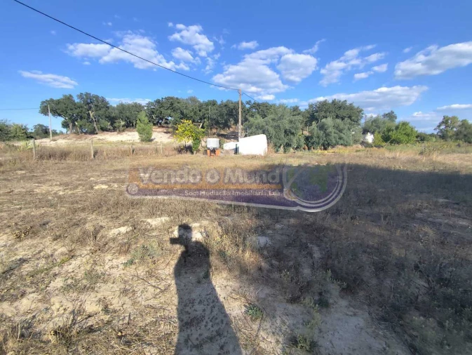 Terreno para Venda em São Jose da Lamarosa Foto 3