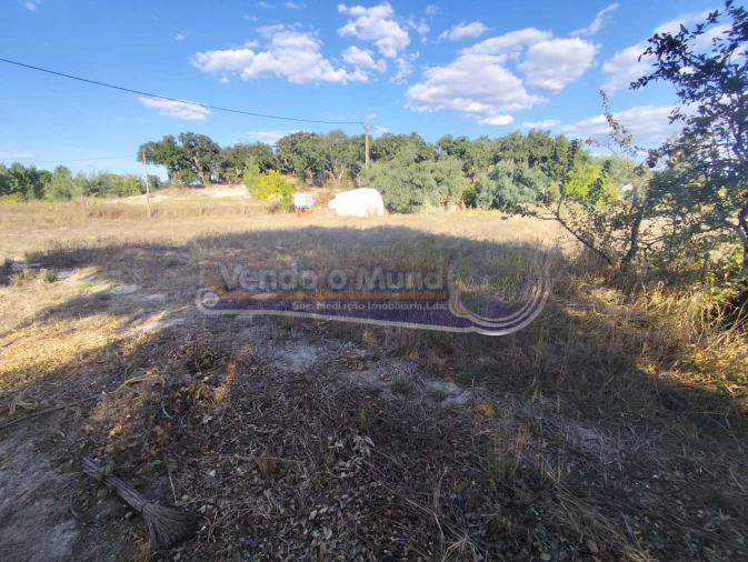 Terreno para Venda em São Jose da Lamarosa Foto 5