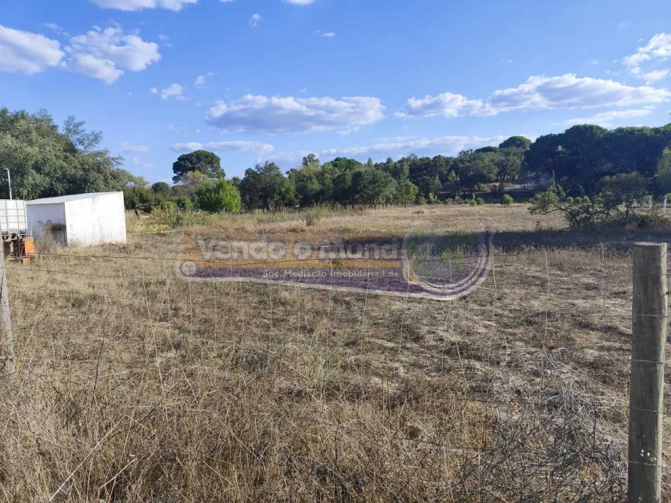Terreno para Venda em São Jose da Lamarosa Foto 1