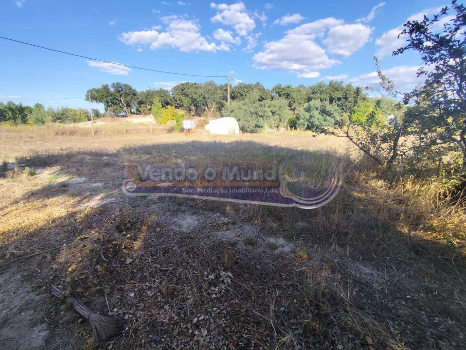 Terreno para Venda em São Jose da Lamarosa Foto 5