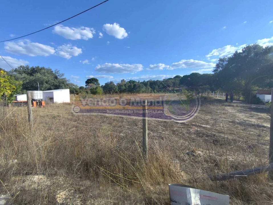 Terreno para Venda em São Jose da Lamarosa Foto 4