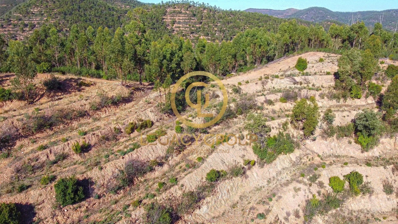 Terreno para Venda em Alferce Foto 11