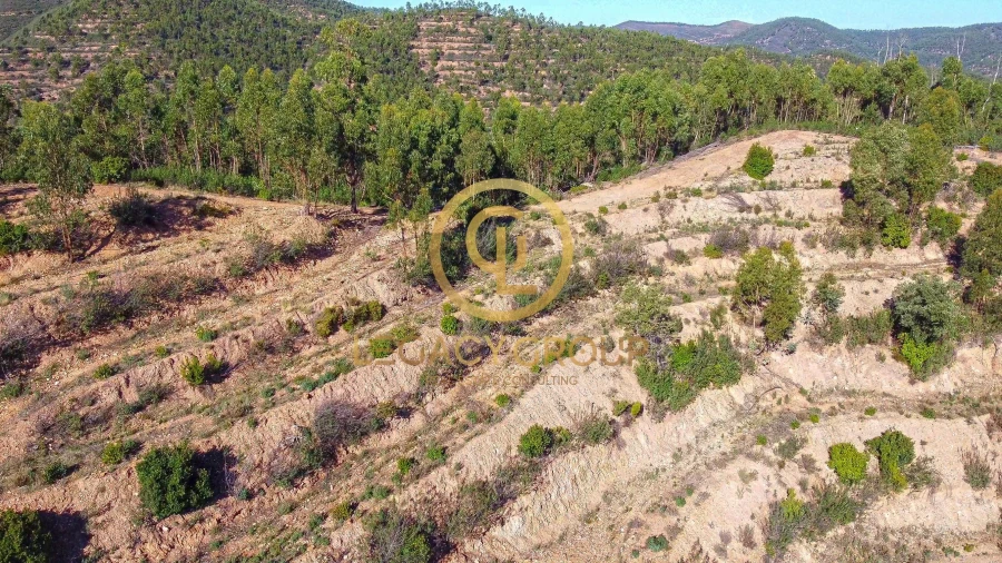 Terreno para Venda em Alferce Foto 11