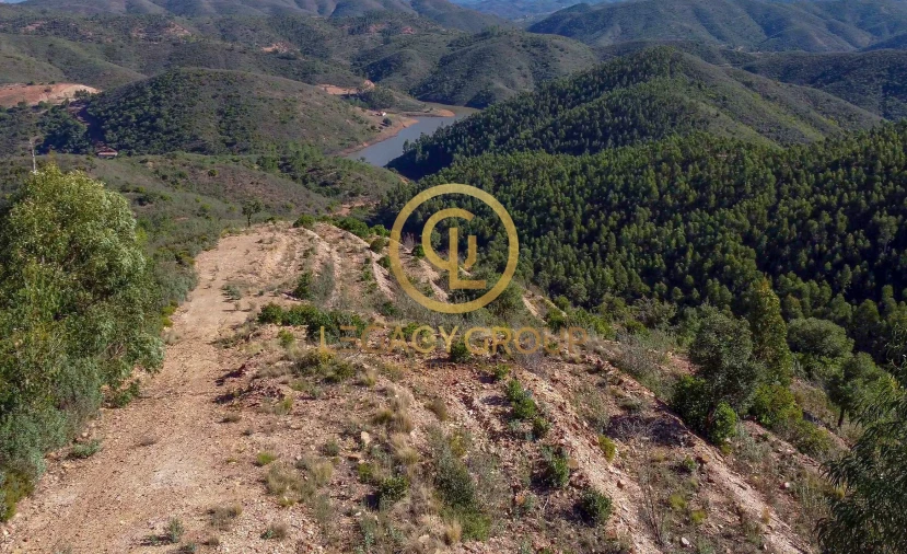 Terreno para Venda em Alferce Foto 8