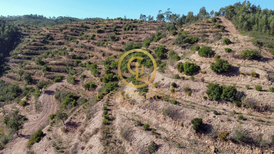 Terreno para Venda em Alferce Foto 18