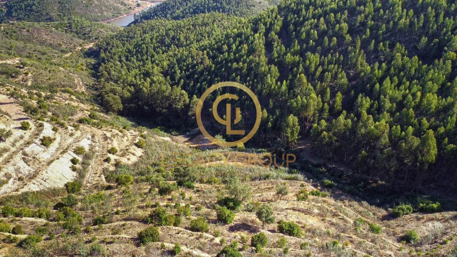 Terreno para Venda em Alferce Foto 10