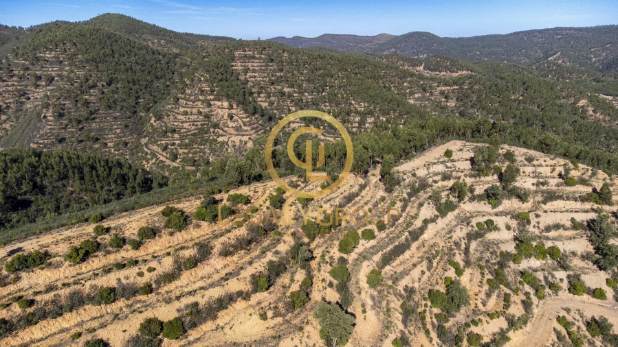 Terreno para Venda em Alferce Foto 9