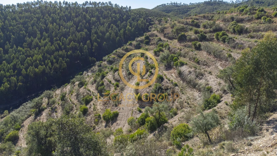 Terreno para Venda em Alferce Foto 12