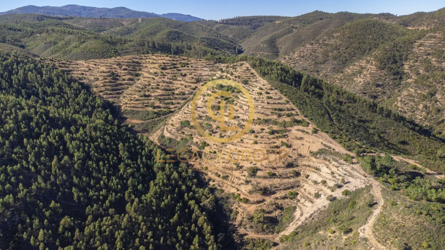 Terreno para Venda em Alferce Foto 2