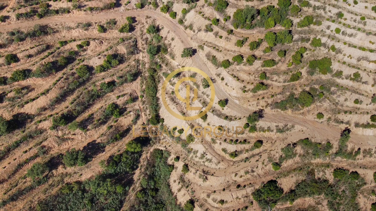 Terreno para Venda em Alferce Foto 10