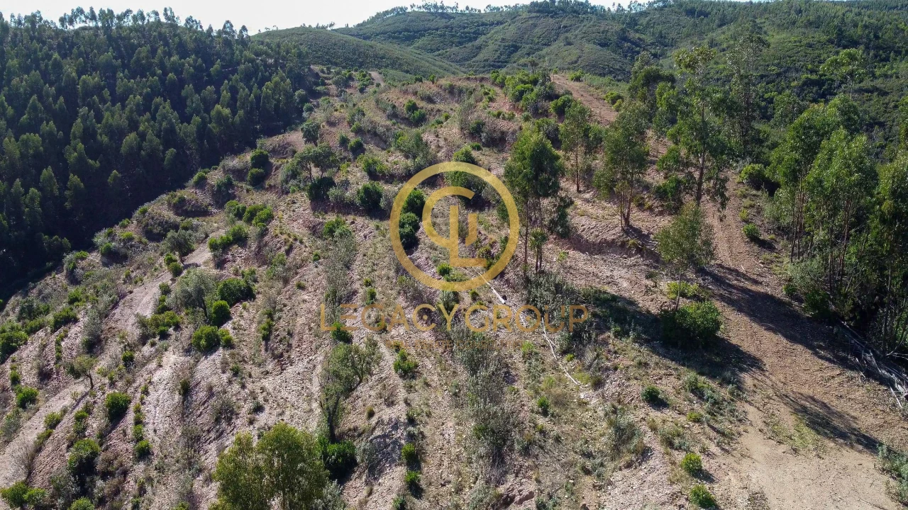 Terreno para Venda em Alferce Foto 17