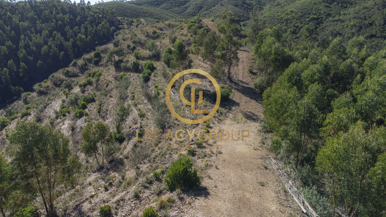 Terreno para Venda em Alferce Foto 11